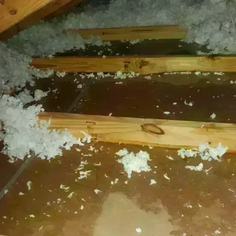 Attic Water Damage in Chelsea, OK