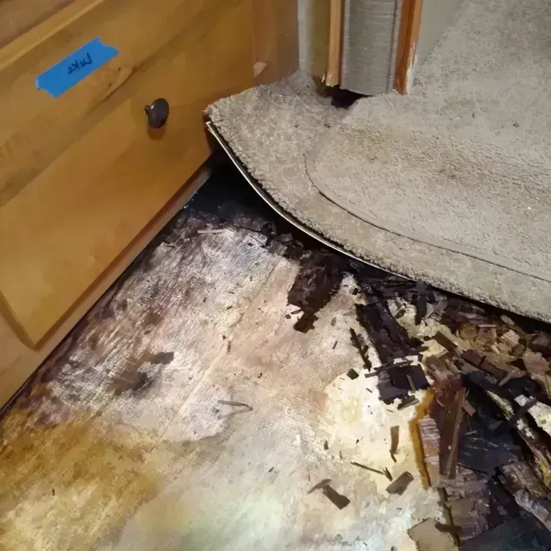 Wood Floor Water Damage in Chelsea, OK